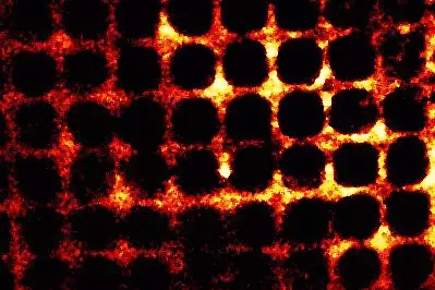 Proton wave